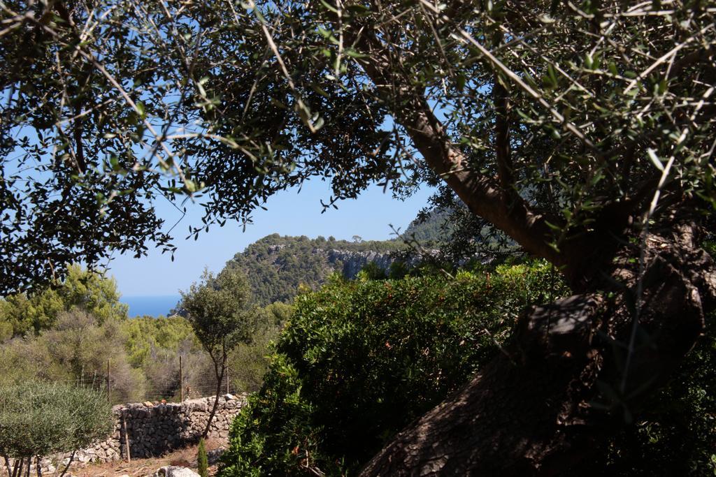 Ca's Garriguer Feriegård Valldemossa (Mallorca)