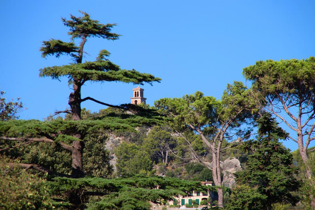 Feriegård Ca's Garriguer Valldemossa (Mallorca)